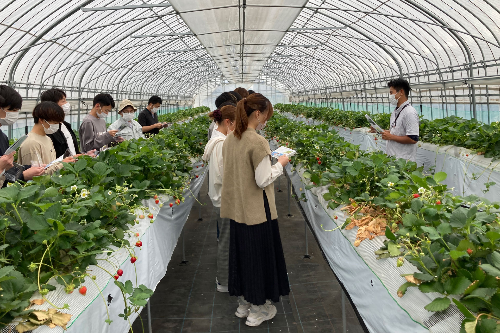 現地見学会（2年生）