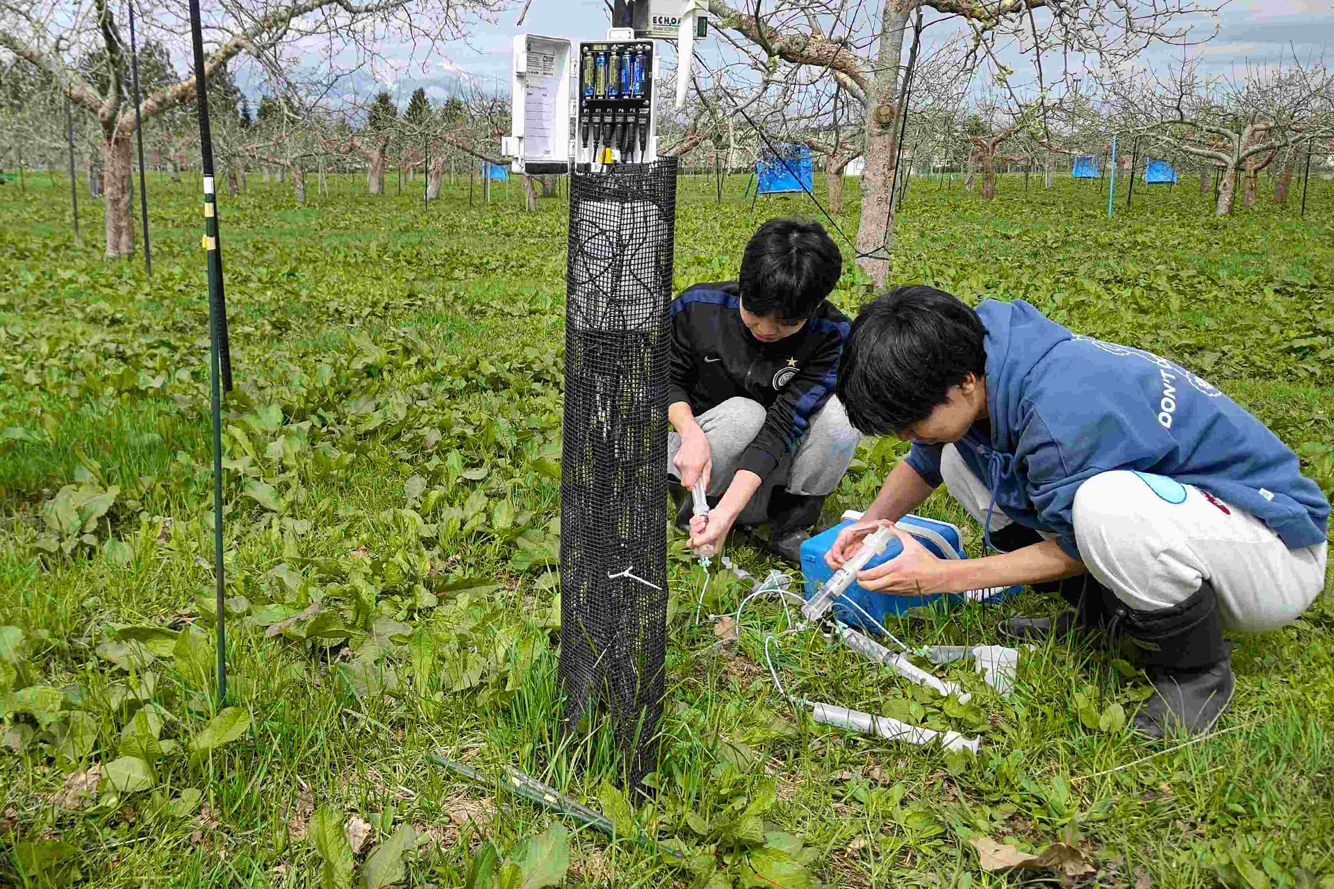 リンゴ園地での土壌水採取